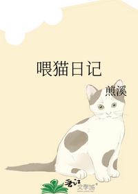 喂猫日记