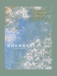他的白茉莉花
